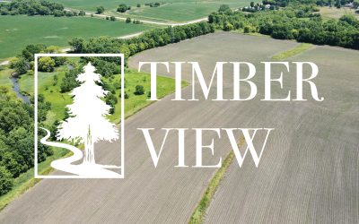 Timber View